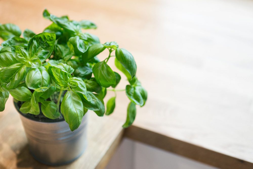 38-40 Commercial Road, London, E1