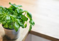 38-40 Commercial Road, London, E1