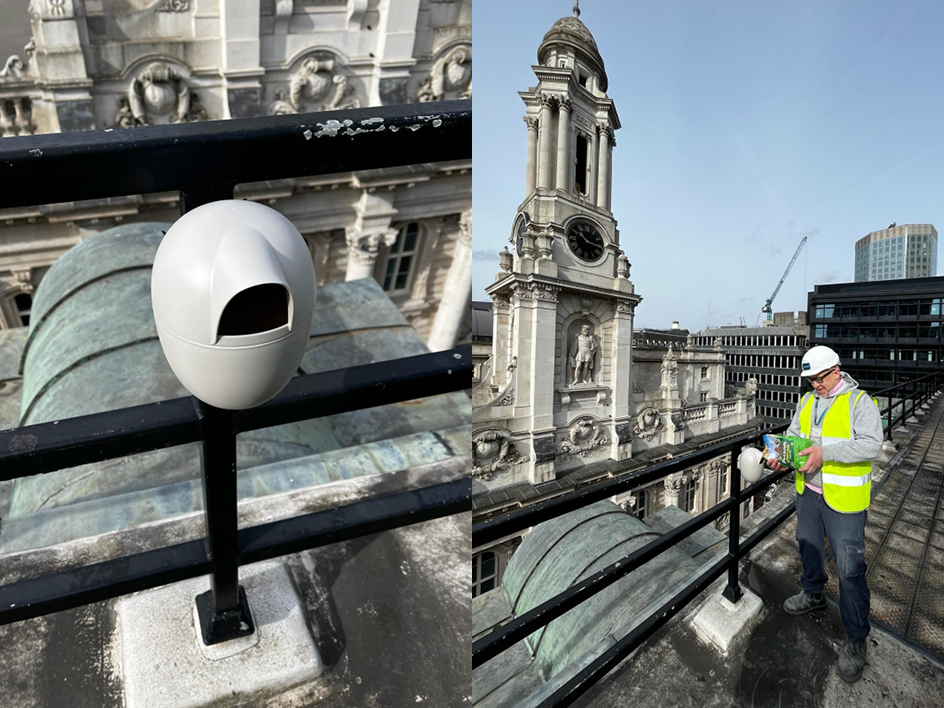 bbg insight: GTH/Architects on the 1-3 Royal Exchange Buildings retrofit