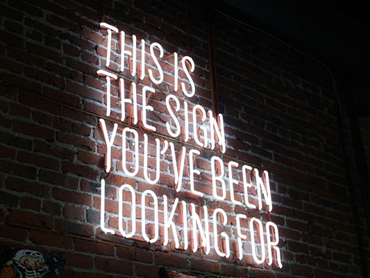 bbg insight: Growing your start-up