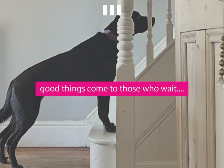 29 Queen Anne’s Gate SW1