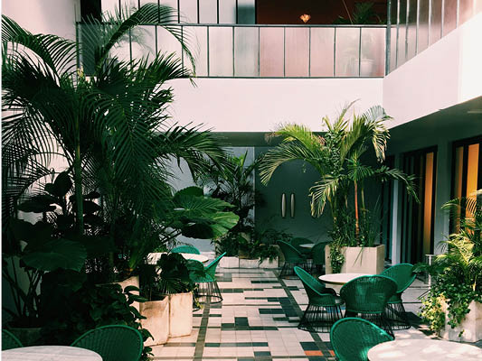 Lobby area filled with plants