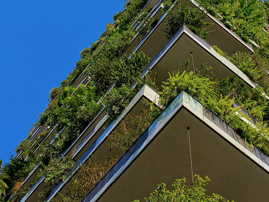corner of a building with overhanging plants.