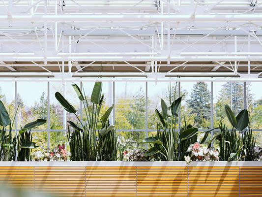 bbg is now carbon neutral