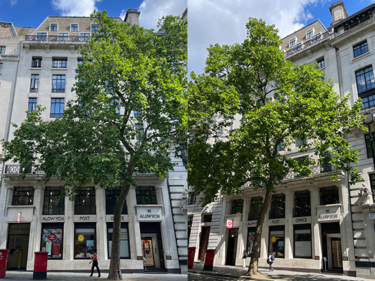 95 Aldwych Strand, London, England, WC2B 4JF